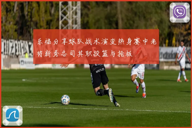 乐福分享球队战术演变热身赛中老将新秀各司其职投篮与抢板