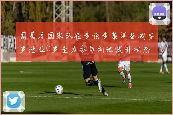 葡萄牙国家队在多伦多集训备战克罗地亚C罗全力参与训练提升状态